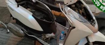 Xe Vision bật chìa khóa không lên điện Mẹo tự kiểm tra Xử lý khẩn cấp đơn giản